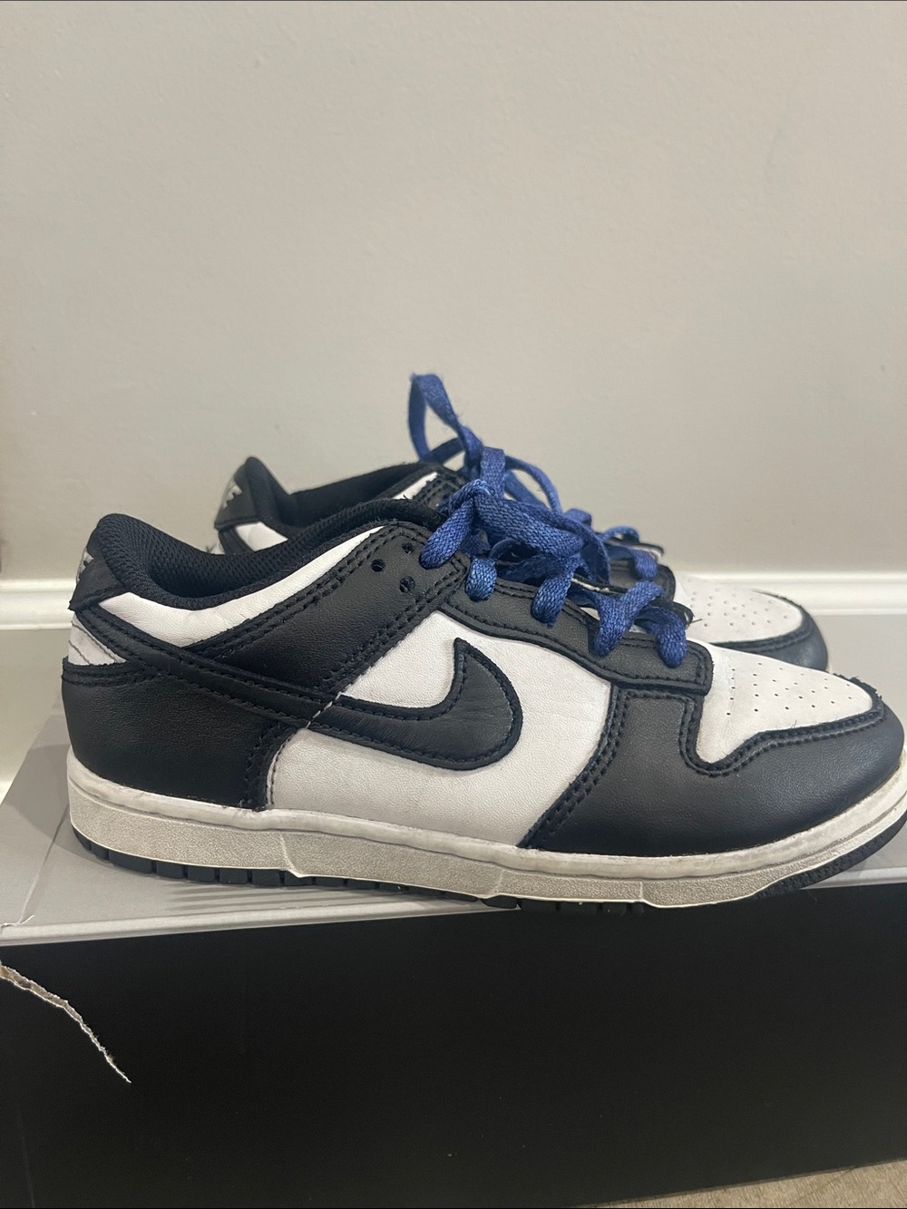 Nike Little Kid Dunks